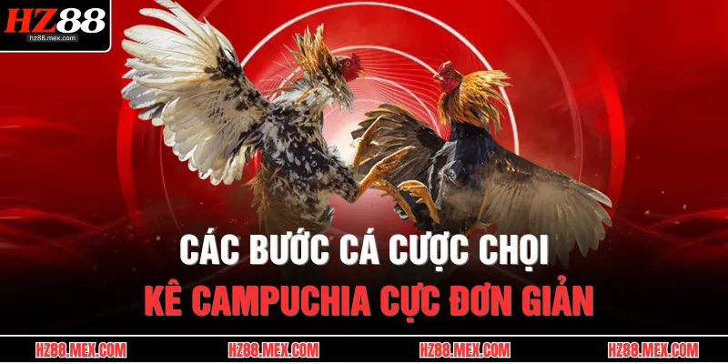 Các bước cá cược chọi kê Campuchia cực đơn giản