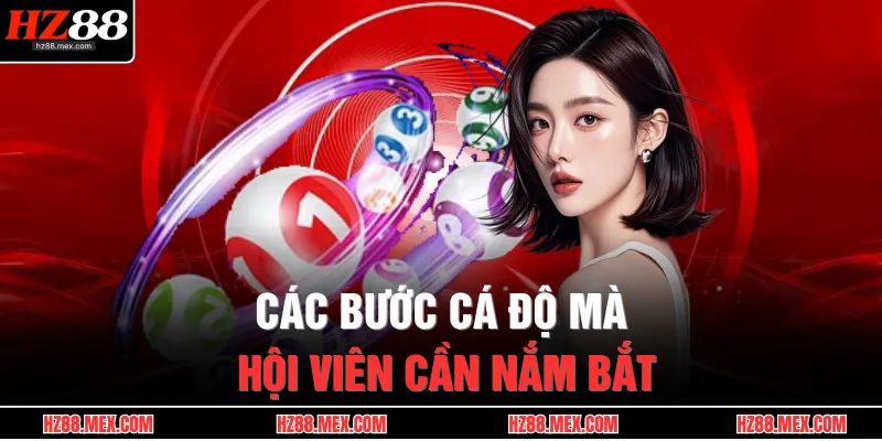 Các bước cá độ mà hội viên cần nắm bắt