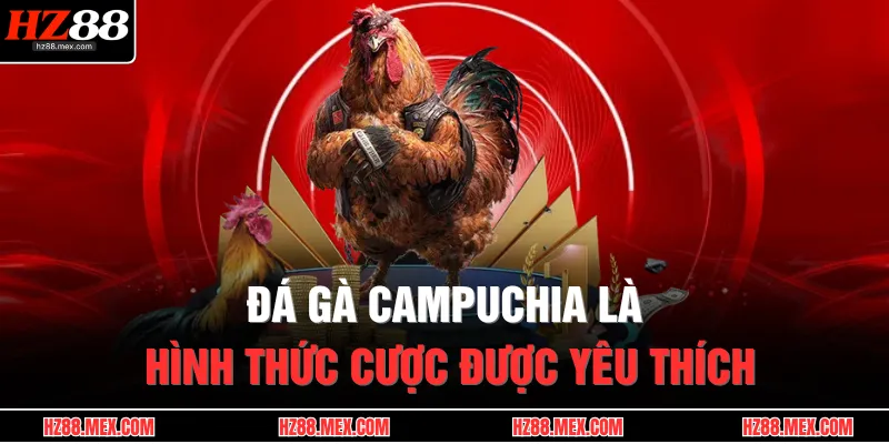 Đá gà Campuchia là hình thức cược được yêu thích