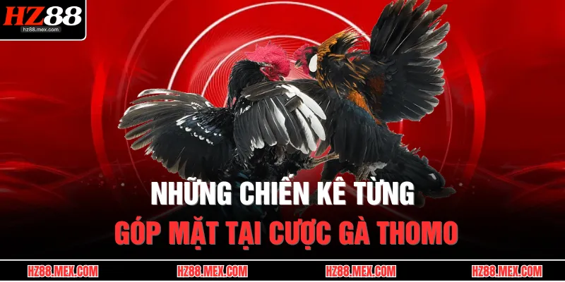 Những chiến kê từng góp mặt tại cược gà Thomo